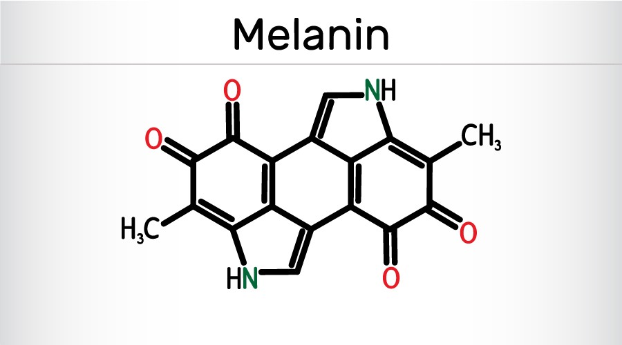 Sắc tố Melanin và những vấn đề về da
