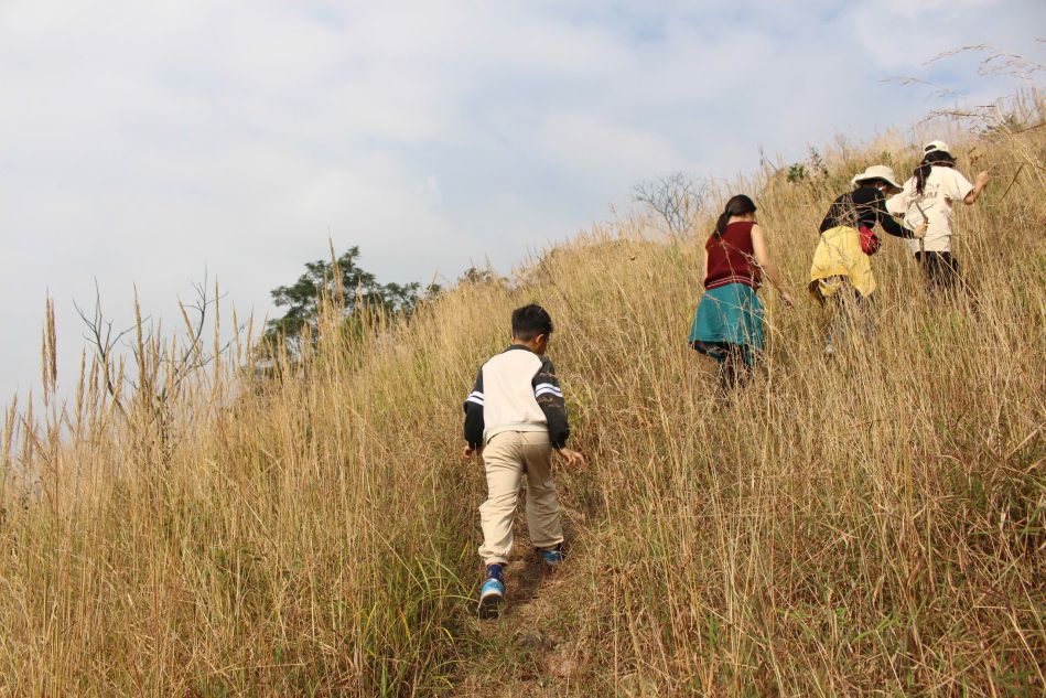 Nhiều gia đình cho các em nhỏ tham gia leo núi Thanh Mai để trải nghiệm, rèn thể lực